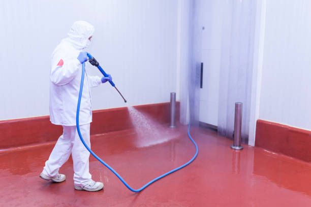 Best Patio and Deck Pressure Washing  in Fort Branch, IN
